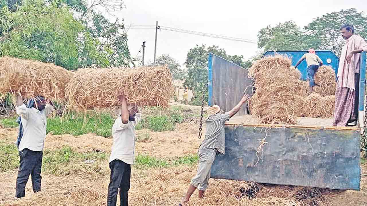 కర్ణాటకకు పశుగ్రాసం..