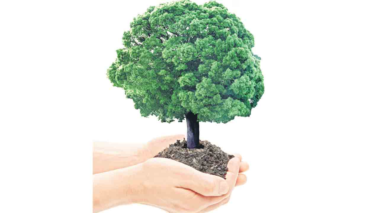 హరితహారం లక్ష్యం @ 53 లక్షలు