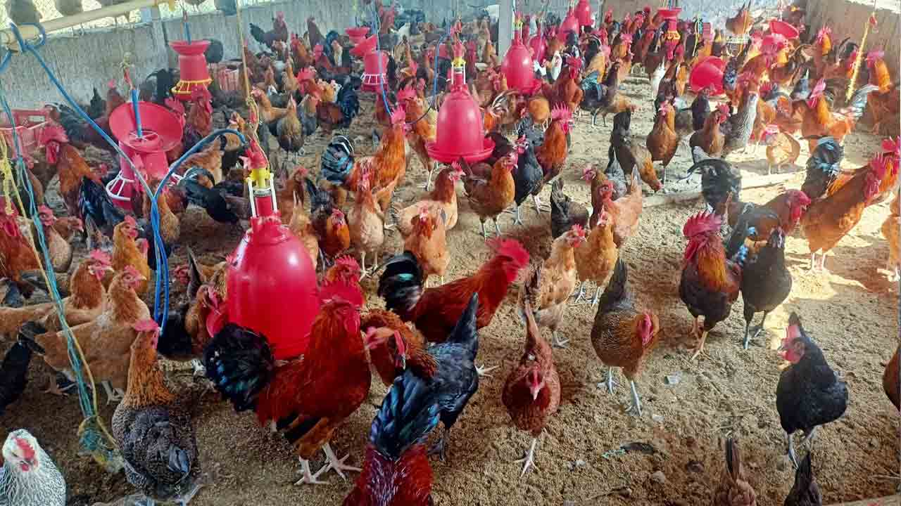 పట్టుదలే పెట్టుబడిగా..