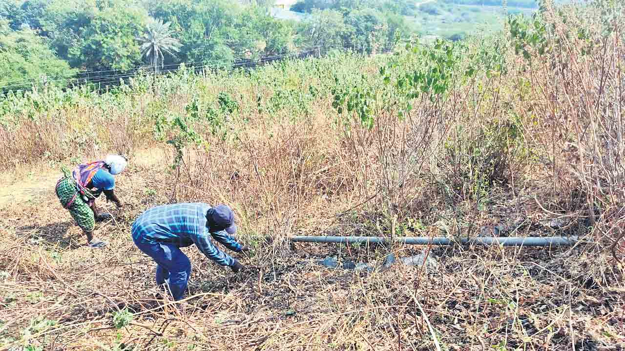 తీరిన సిబ్బంది కొరత .. సాగునీటికి లేదిక చింత