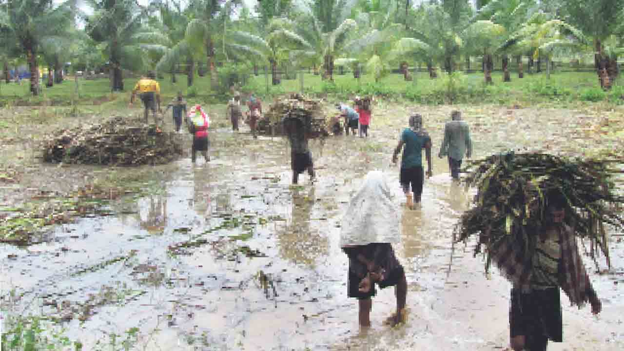 మిగ్‌జాం తుపాన్‌ విధ్వంసం