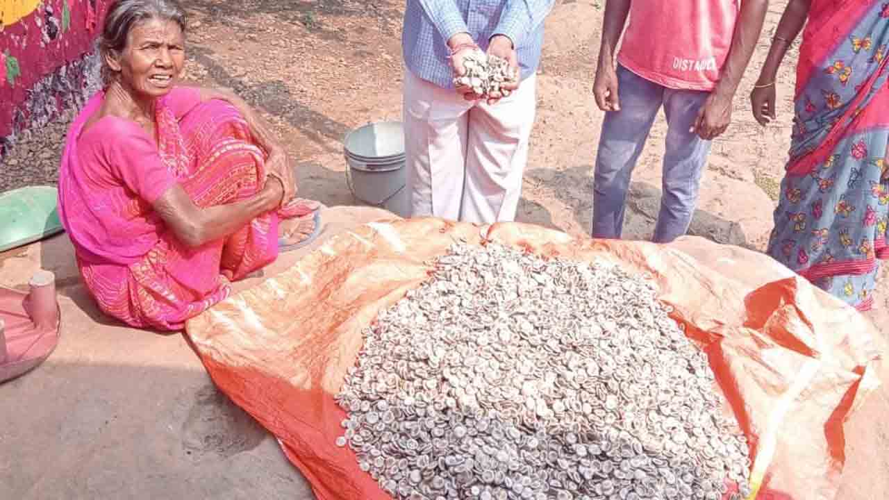 ముష్టి గింజలతో మస్తు ఉపాధి