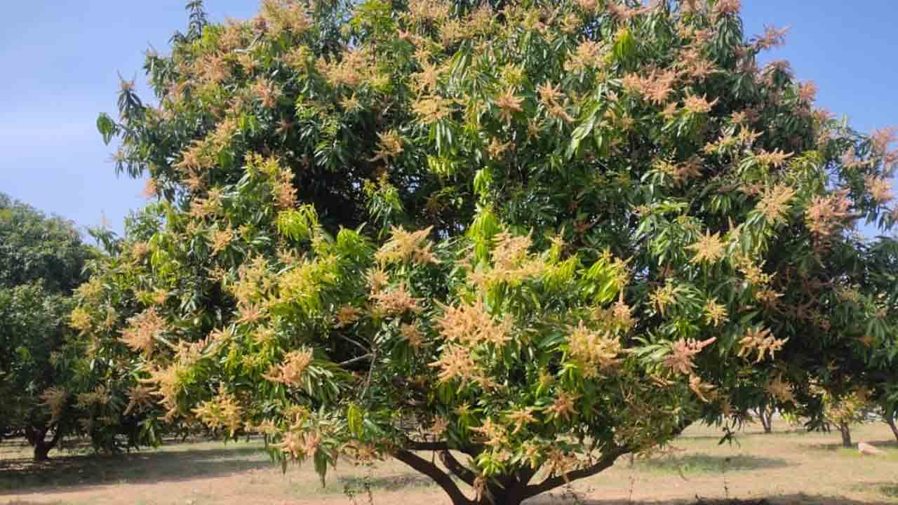 యాజమాన్య పద్ధతులు తప్పనిసరి