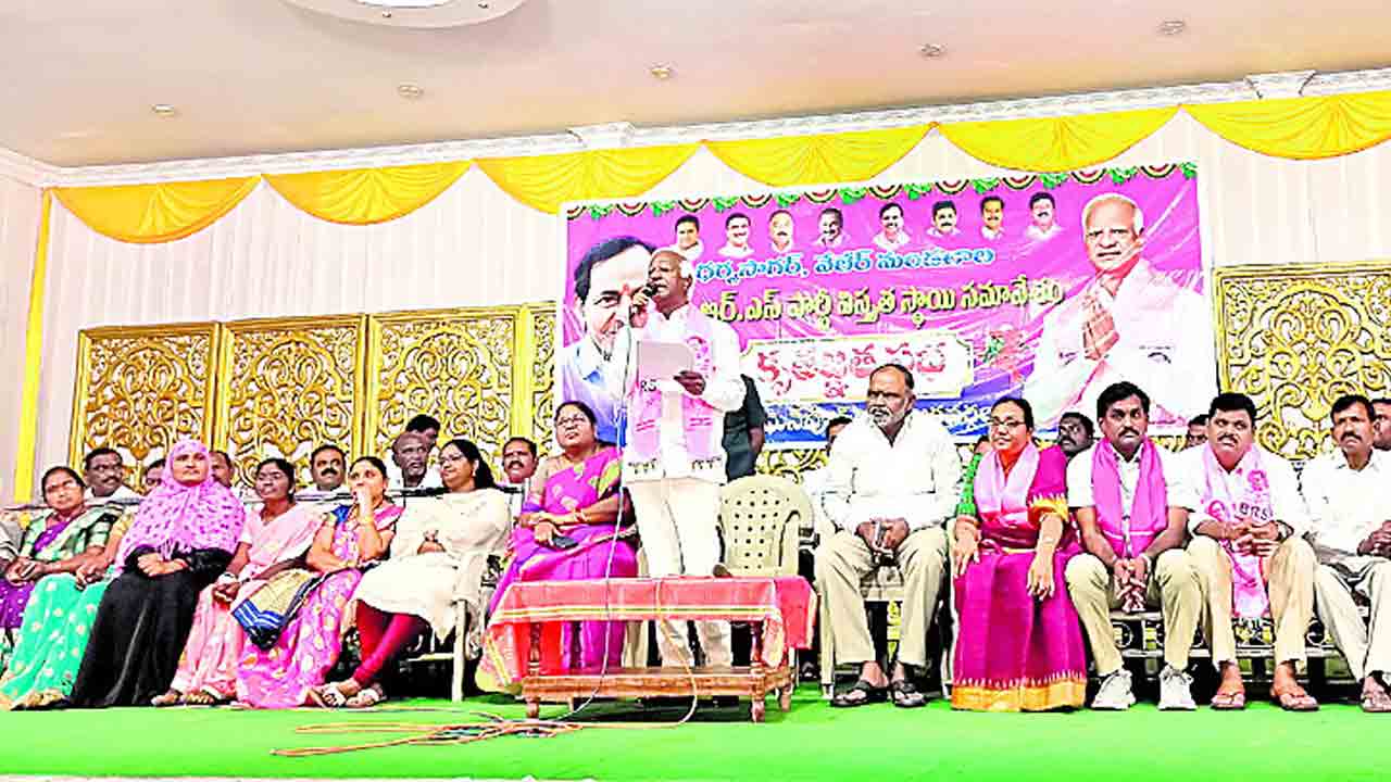 పార్టీ బలోపేతానికి కార్యకర్తలు కృషి చేయాలి