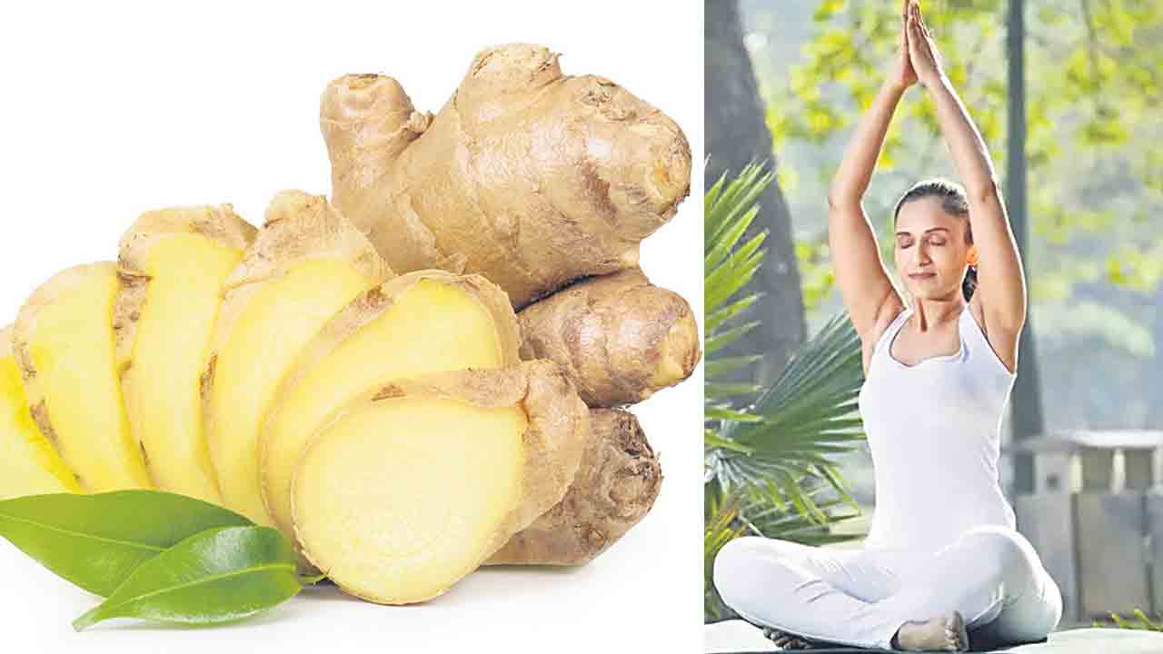 మన ఆరోగ్యం మన చేతుల్లోనే..