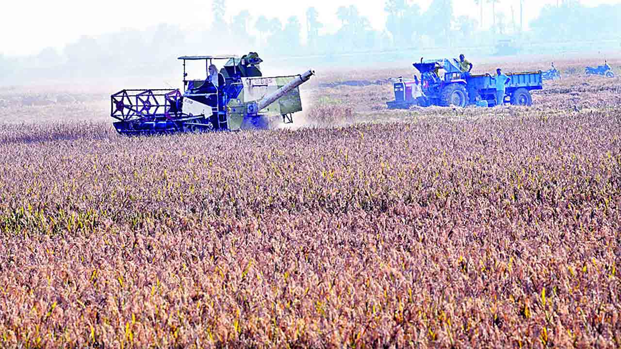 అన్న దాతలు బిజీబిజీ