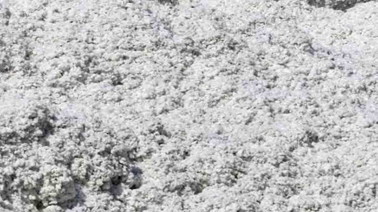 పత్తి రైతు చిత్తు