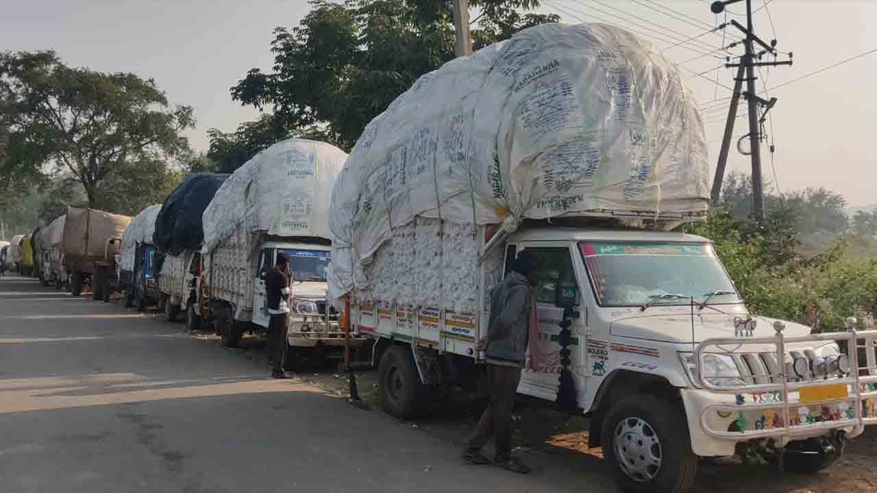 వరుసకట్టిన ‘దూది’ బండ్లు