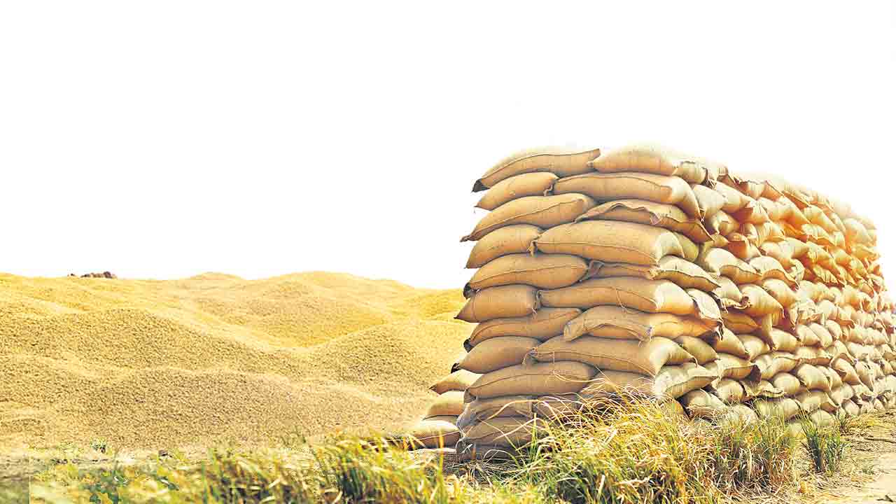 ధాన్యం సేకరణలో కామారెడ్డి టాప్‌