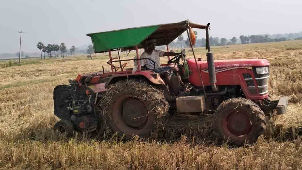 రైతన్నలకు పశుగ్రాసం కష్టాలు