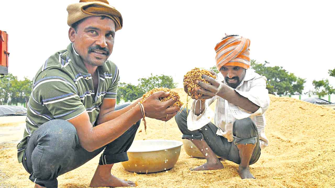 మిగ్జాం దడ