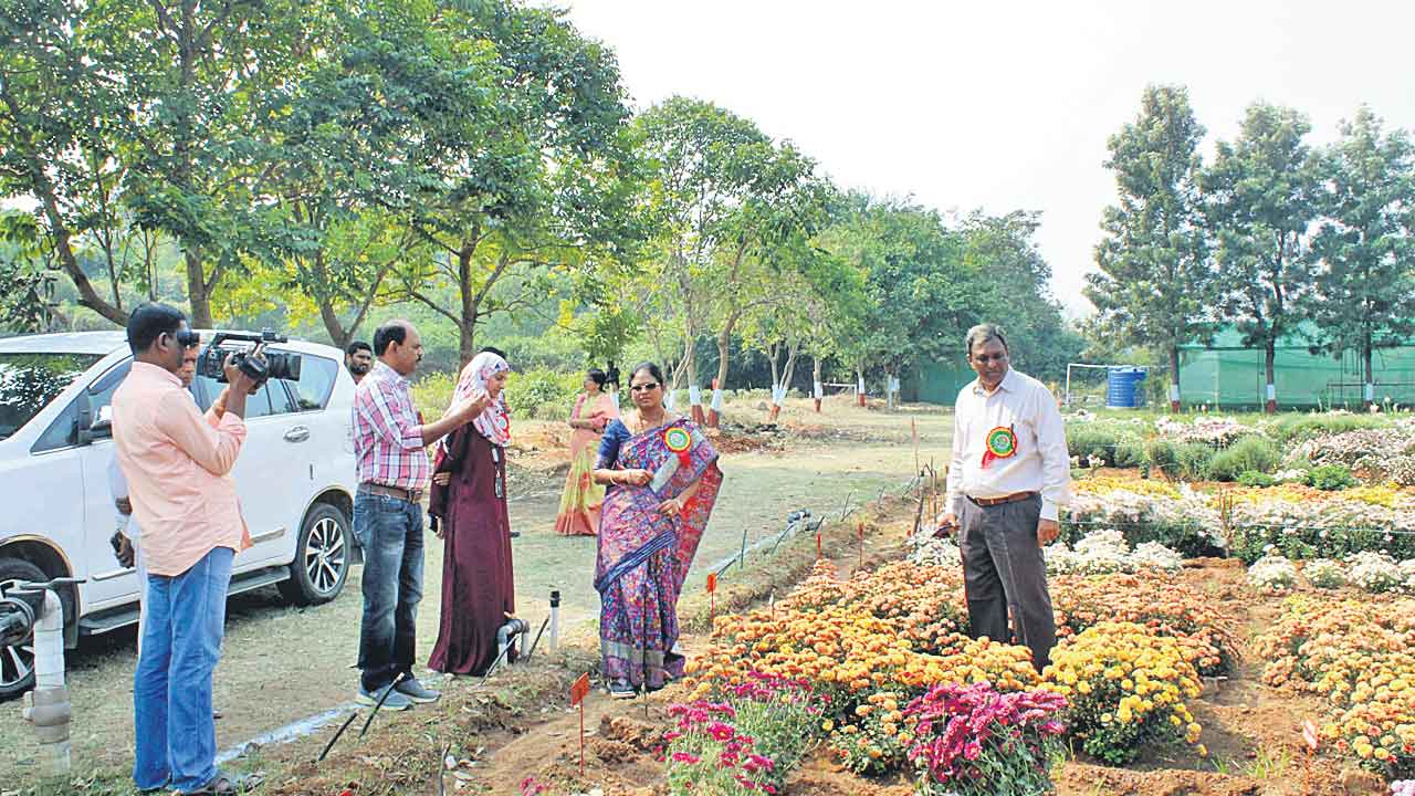 పూల సాగు ఎంతో లాభదాయకం