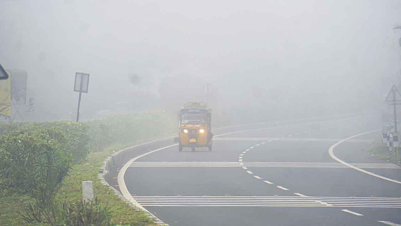 పొగమంచు కౌగిలి.. వణికిస్తున్న చలిపులి
