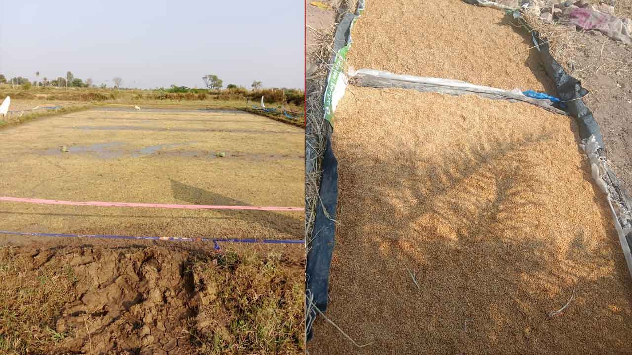 యాసంగికి సంసిద్ధం