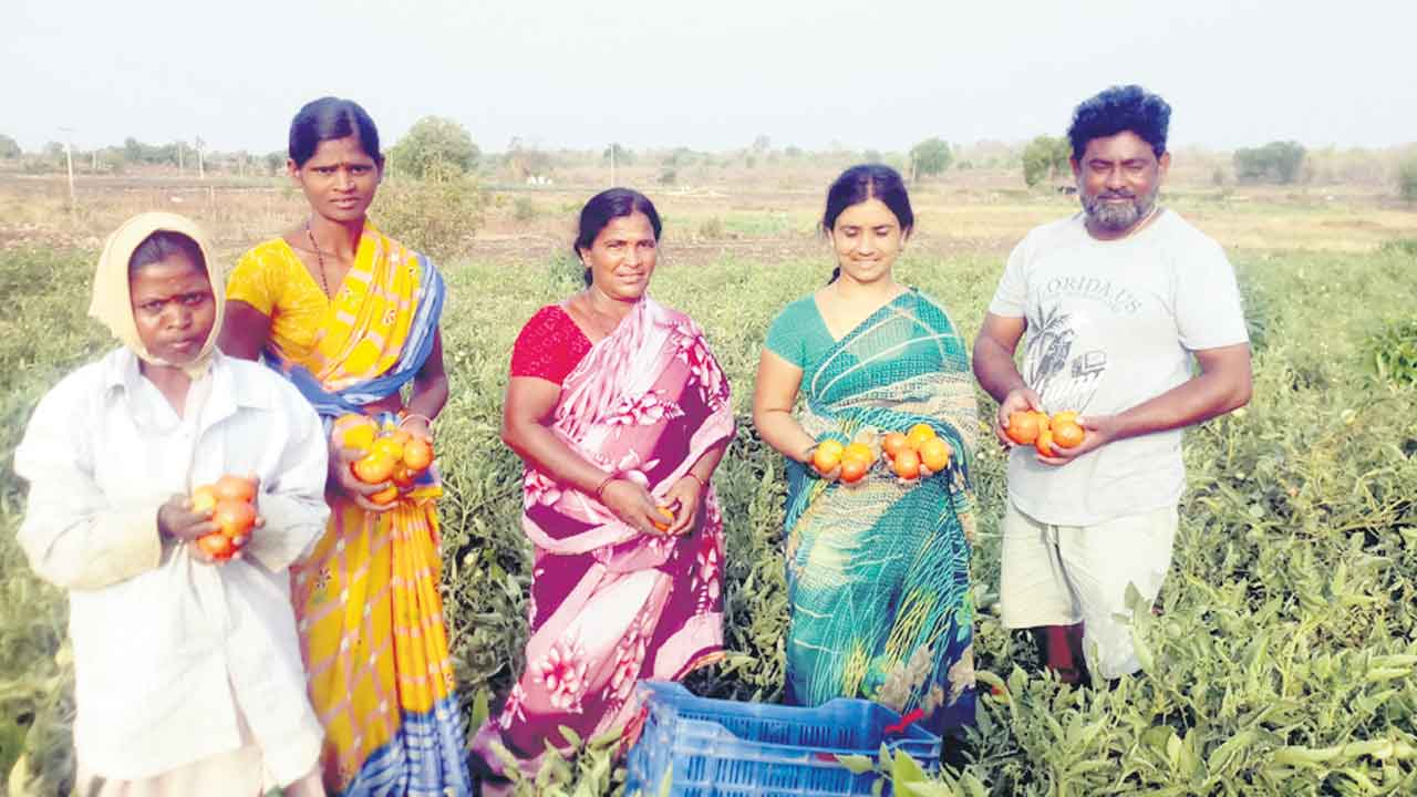 కూరగాయల పంట..లాభాలు ఇంట…