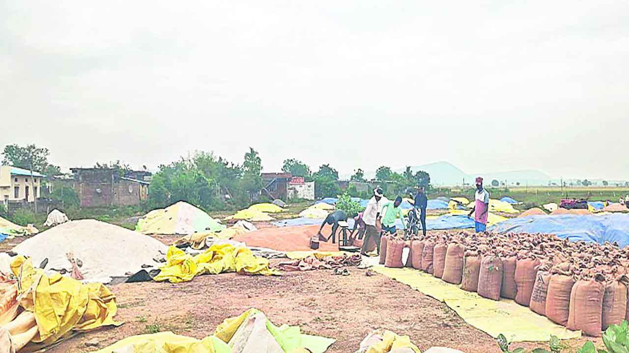 రైతుల్లో మిచౌంగ్‌ గుబులు