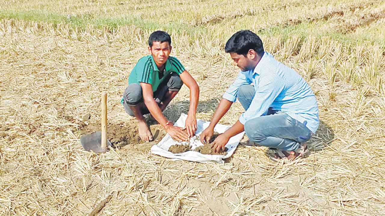 భూమిని సంరక్షిస్తేనే అధిక దిగుబడి