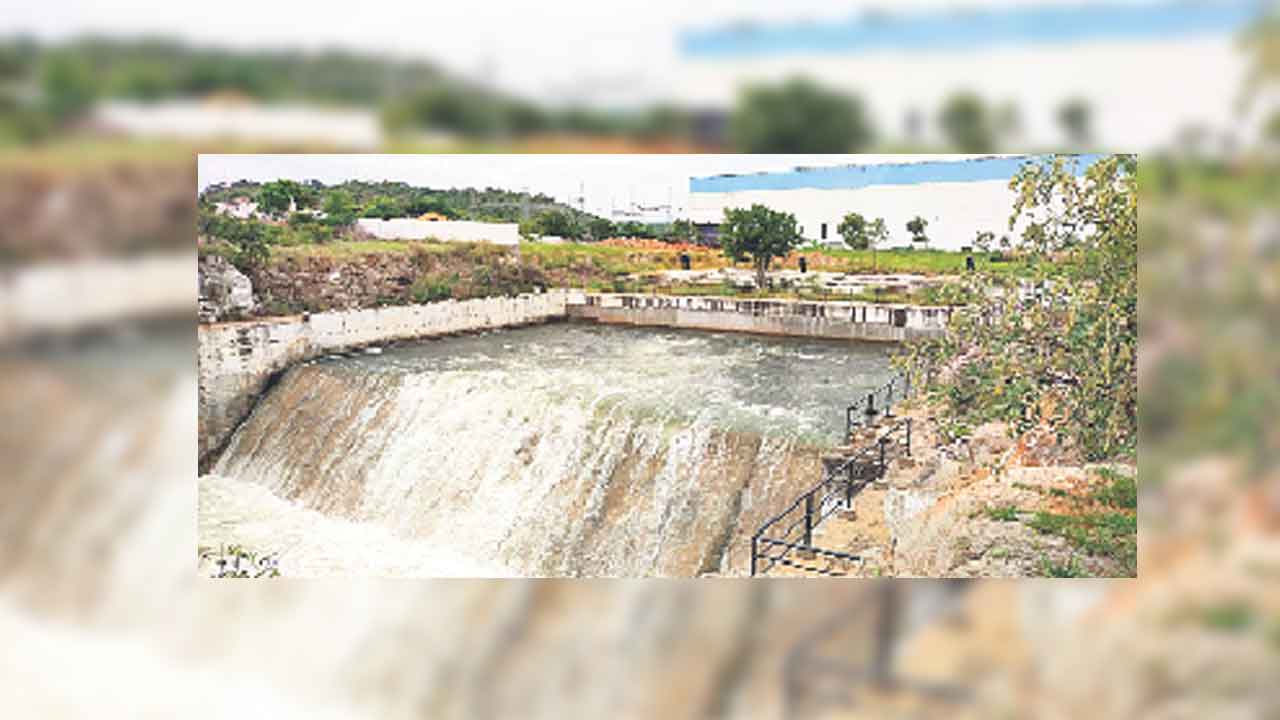 బీడు భూముల్లో సాగు సంబురం