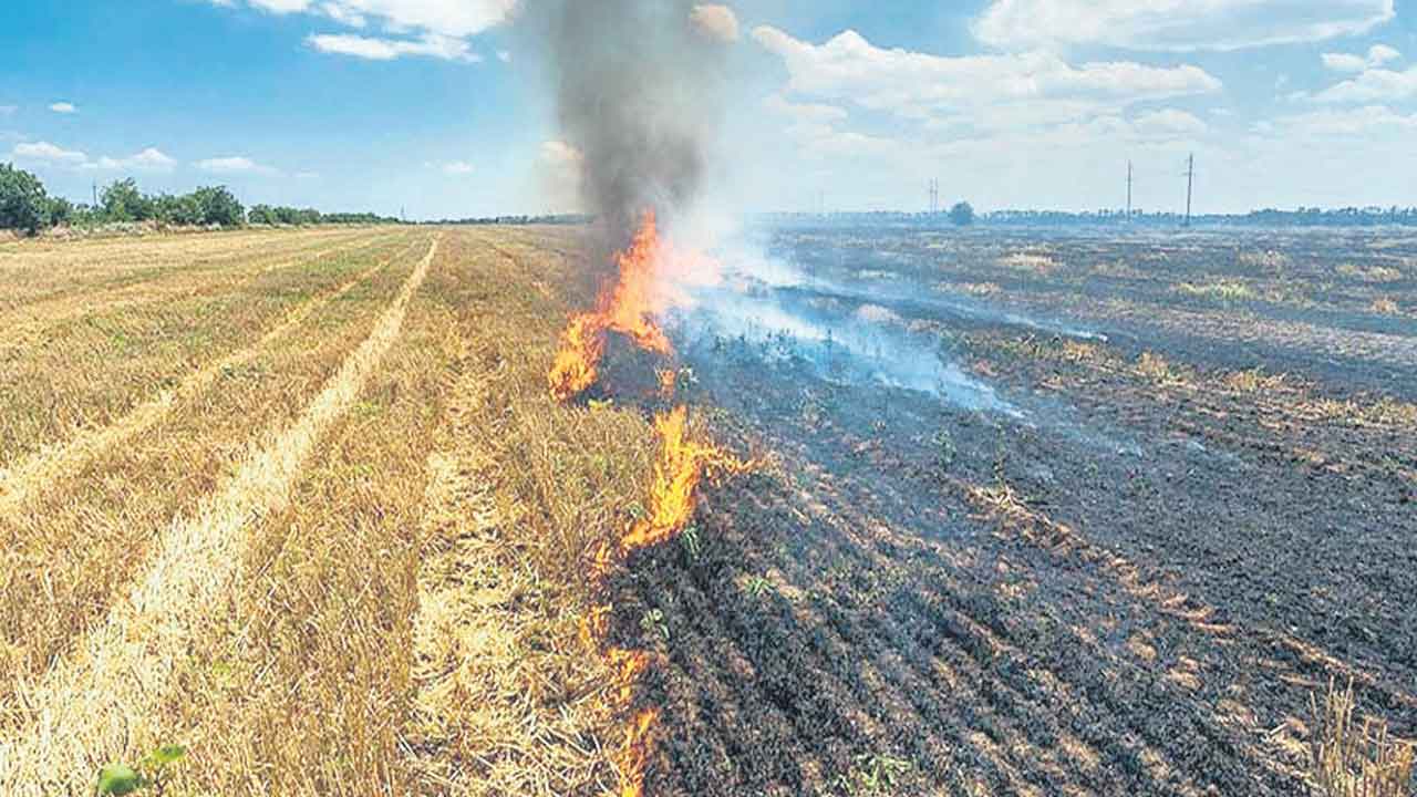నిప్పు పెడితే ముప్పే