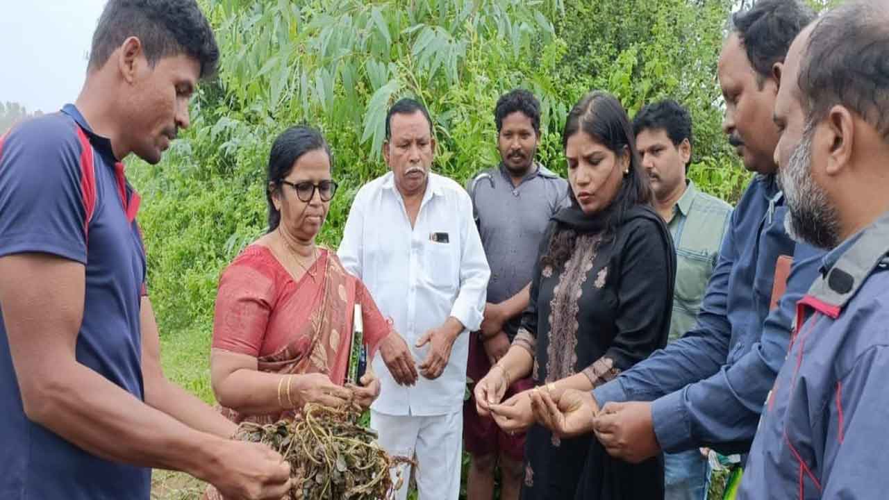 ముంపు ప్రాంతాల్లో కలెక్టర్‌ పర్యటన