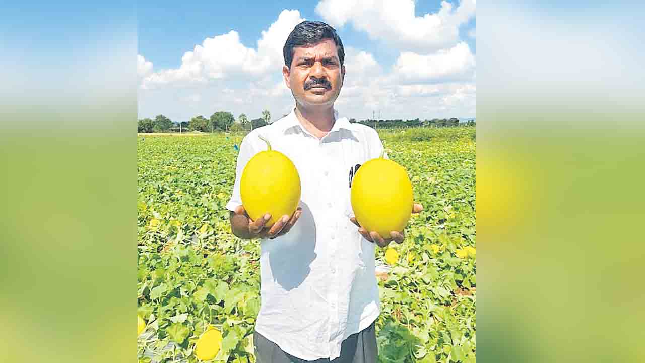 ఆర్సీరెడ్డికి జాతీయ ఉత్తమ రైతు అవార్డు