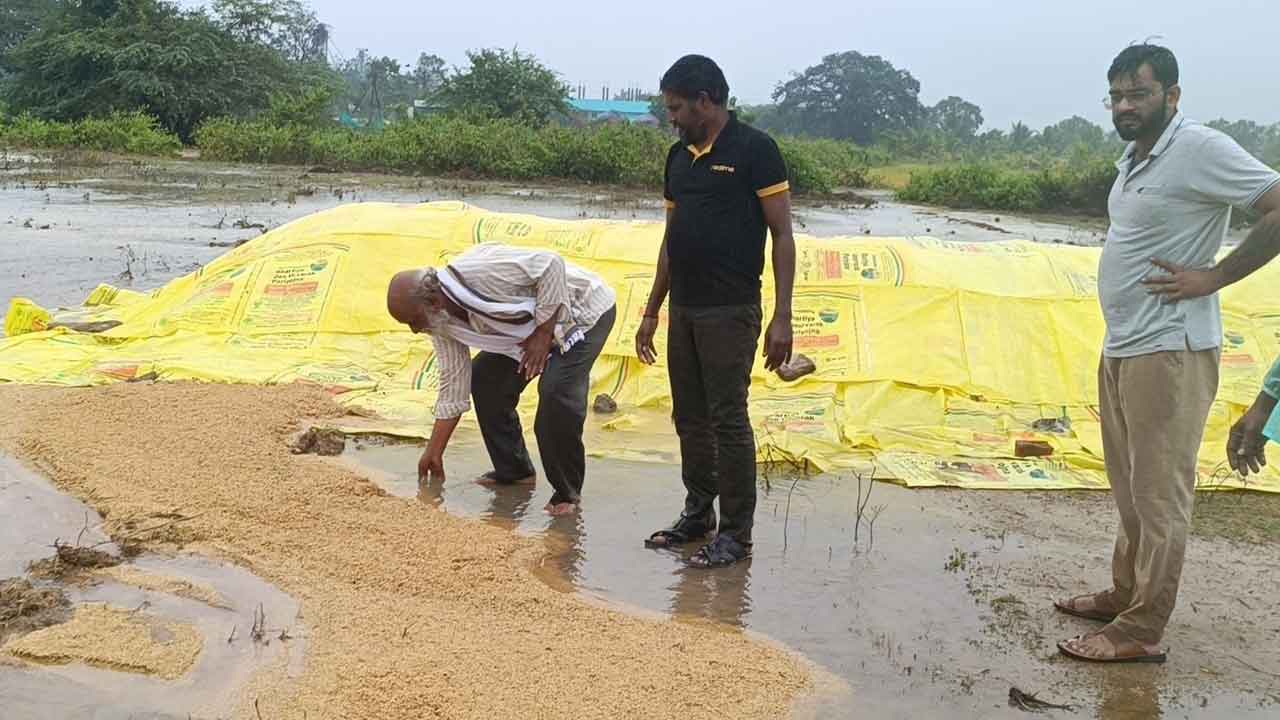 ముసురుకుంది