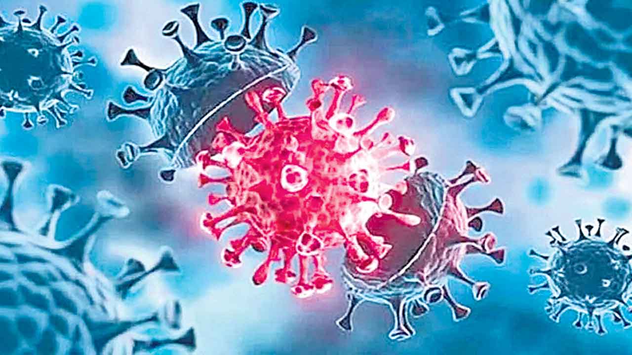 24 గంటల్లో 656 కరోనా కేసులు