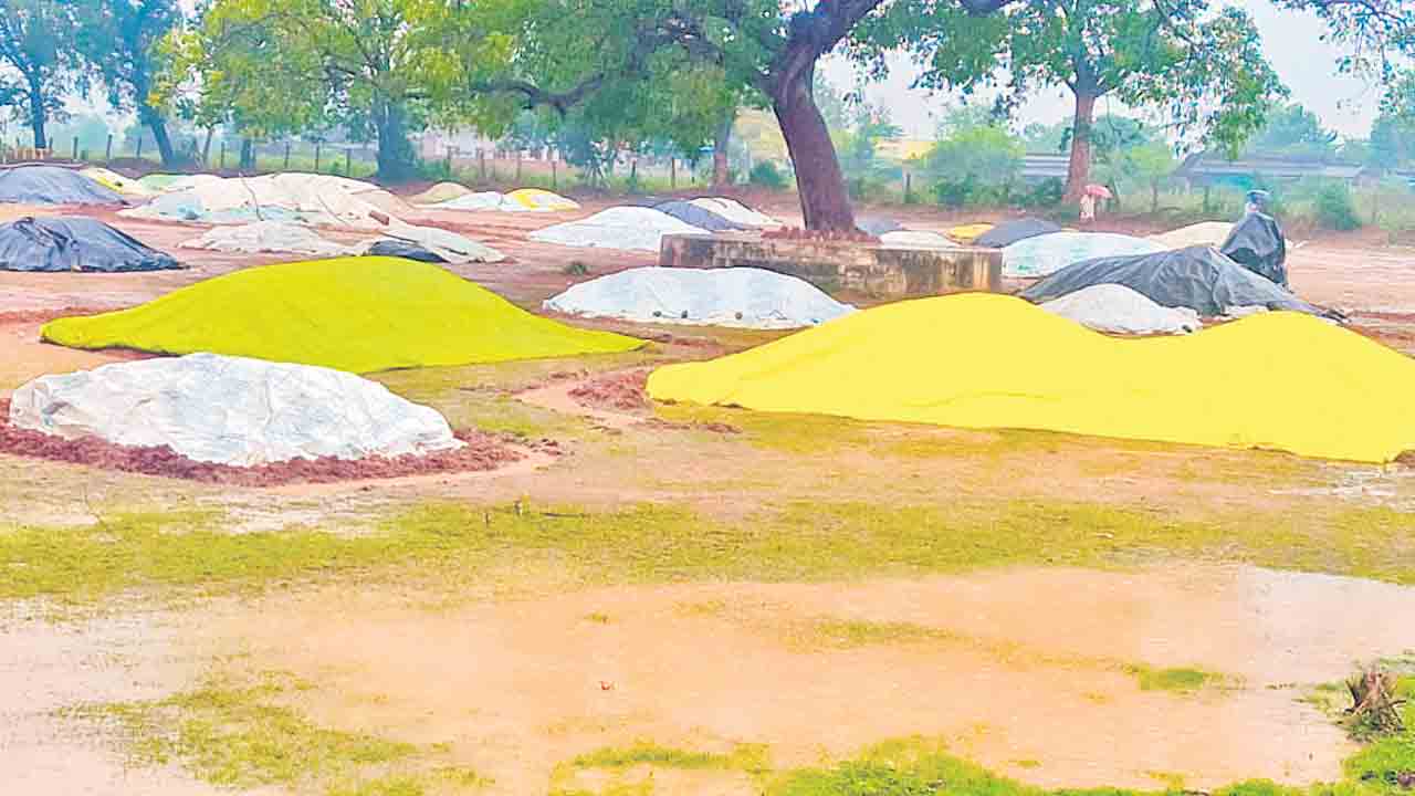 నేడు, రేపు అత్యంత భారీ వర్షాలు