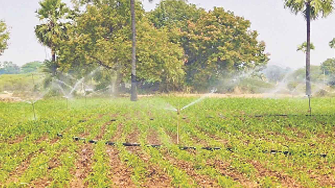 తుంపర సేద్యం..మెట్ట రైతుకు లాభం