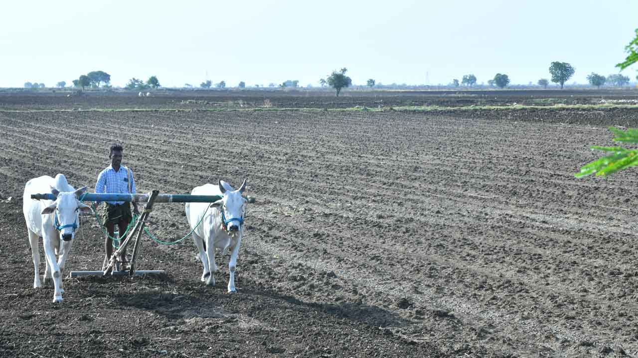 యాసంగికి వేళయే