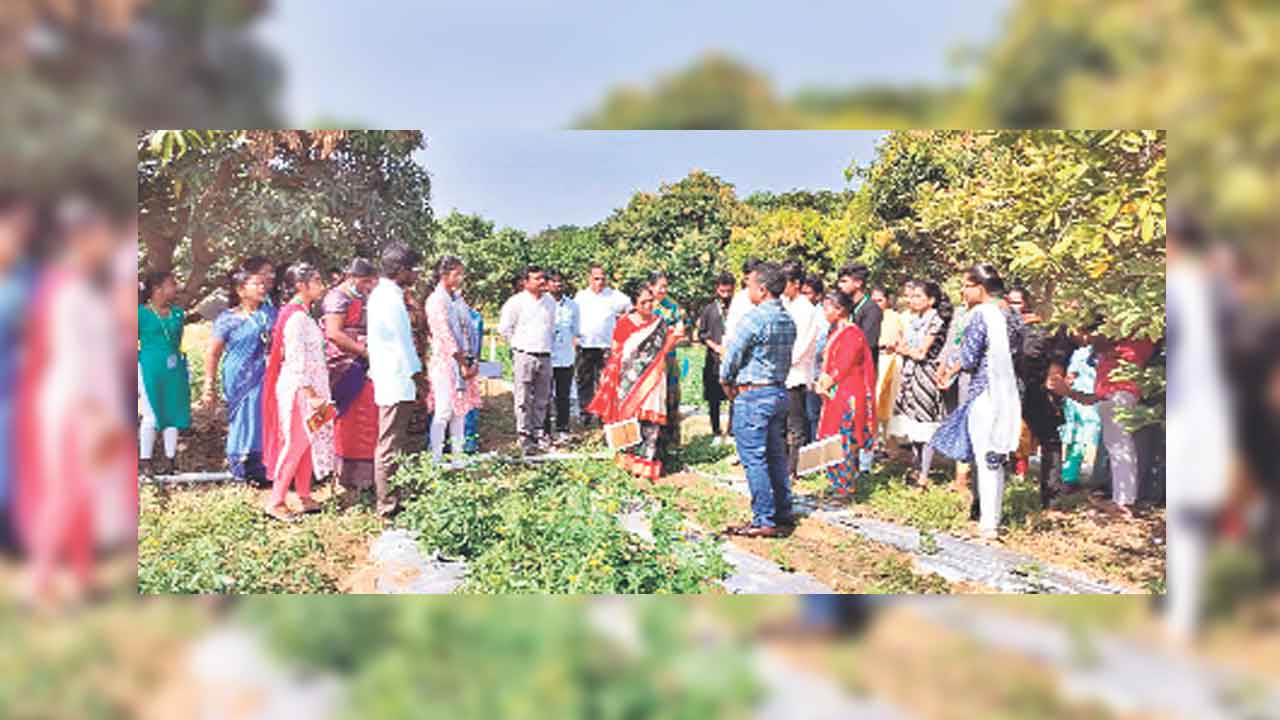 క్రీడలతో శారీరక దృఢత్వం