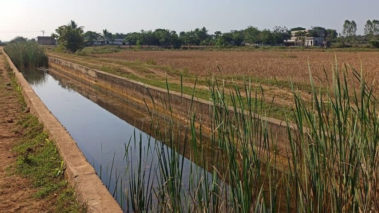 యాసంగికి సాగునీరు అందేనా..