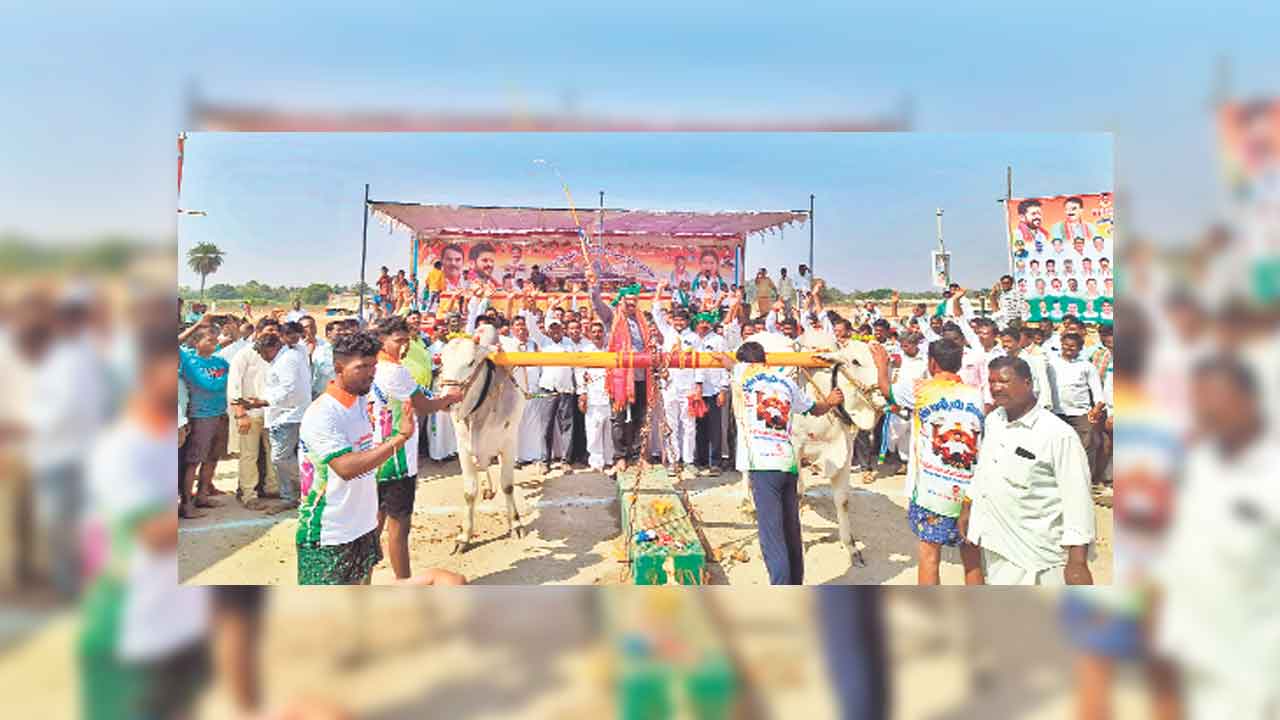 అంతా మా ఇష్టం..