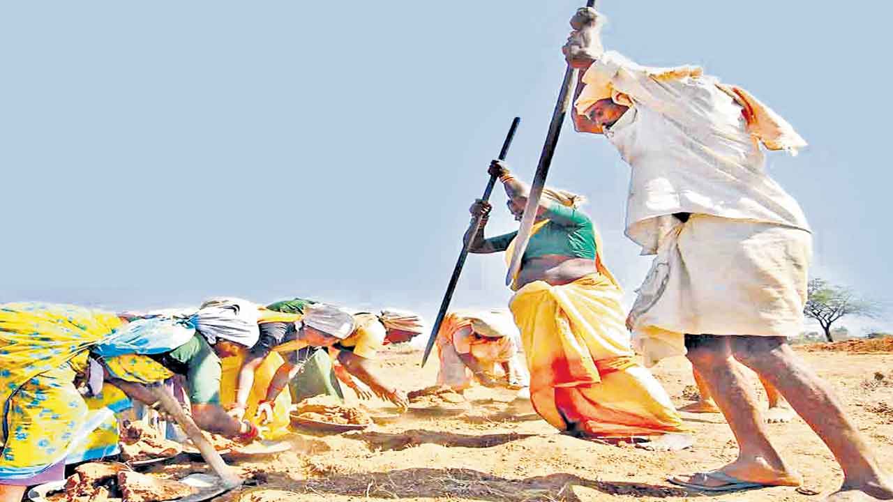 ‘ఉపాధి హామీ’ని ఆడిట్‌ చెయ్యరా?