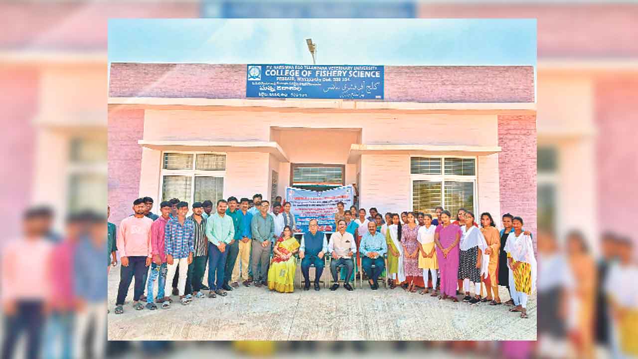 మత్స్య రంగంలోనూ స్వయం ఉపాధి