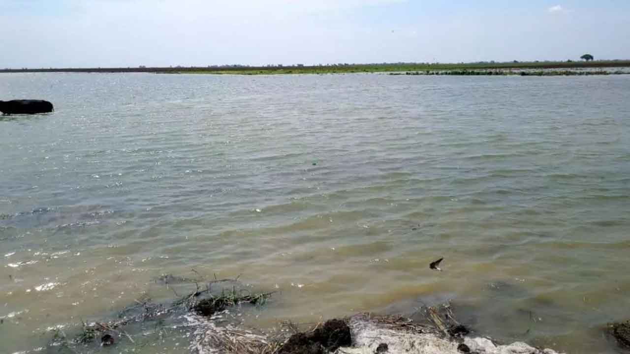 గంగానదిపై ఆరు లేన్ల తీగల వంతెన