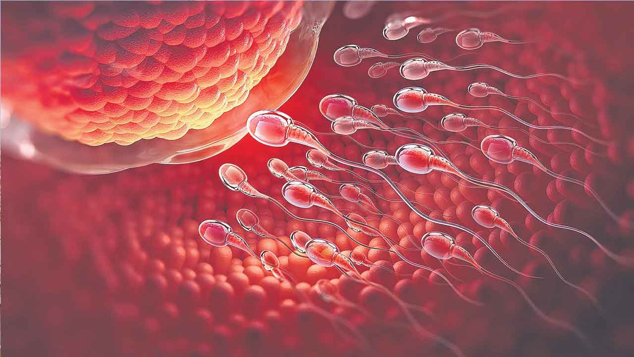 IVG | జంబలకిడి పంబ.. పురుషుడి నుంచి అండాలు.. మహిళల నుంచి శుక్రకణాలు!