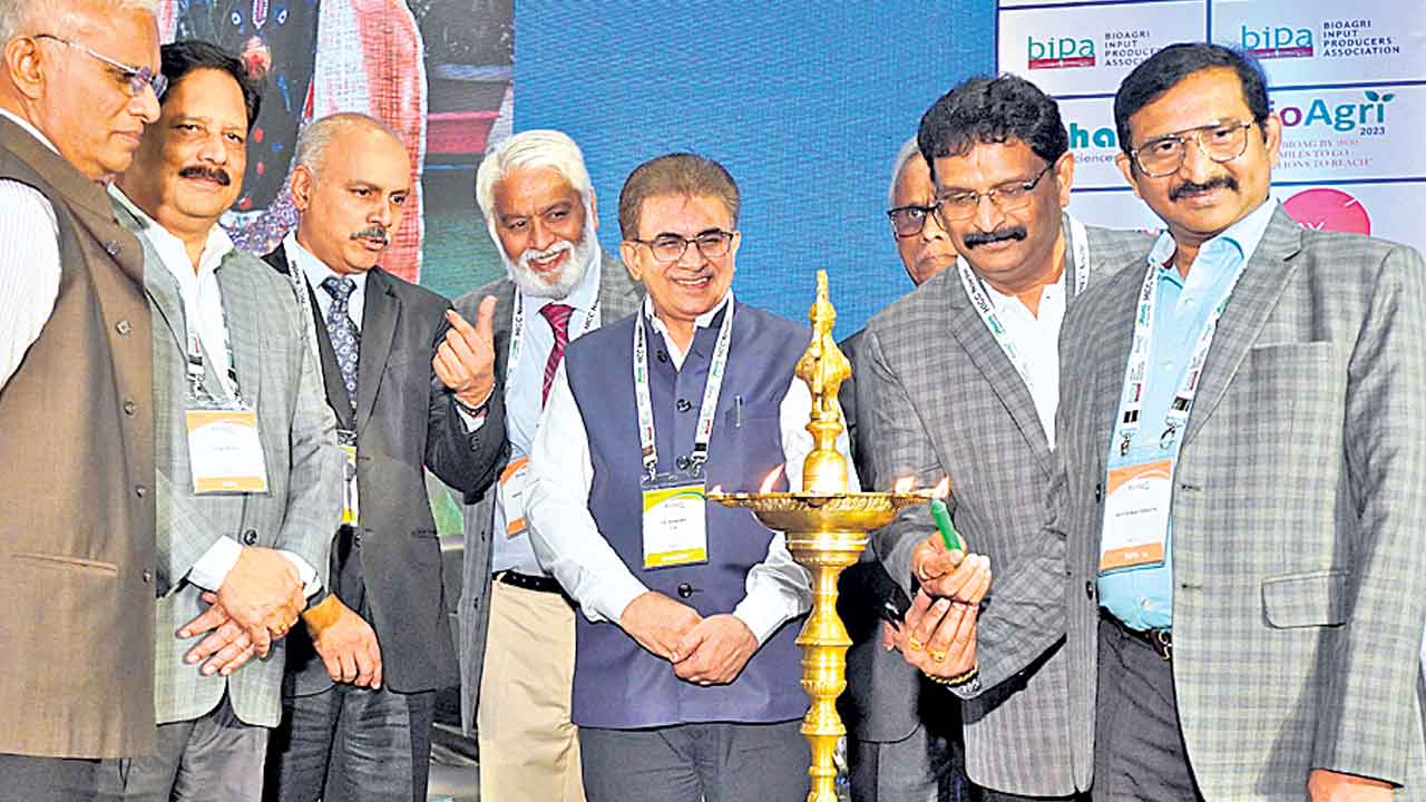 దేశ ఆర్థిక వ్యవస్థలో వ్యవసాయం కీలకం