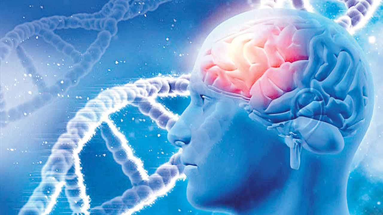 లైట్‌ థెరపీతో అల్జీమర్స్‌కు చెక్‌!