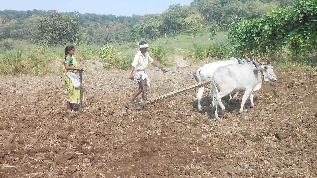 ఇంకా..రైతుబంధురాలే