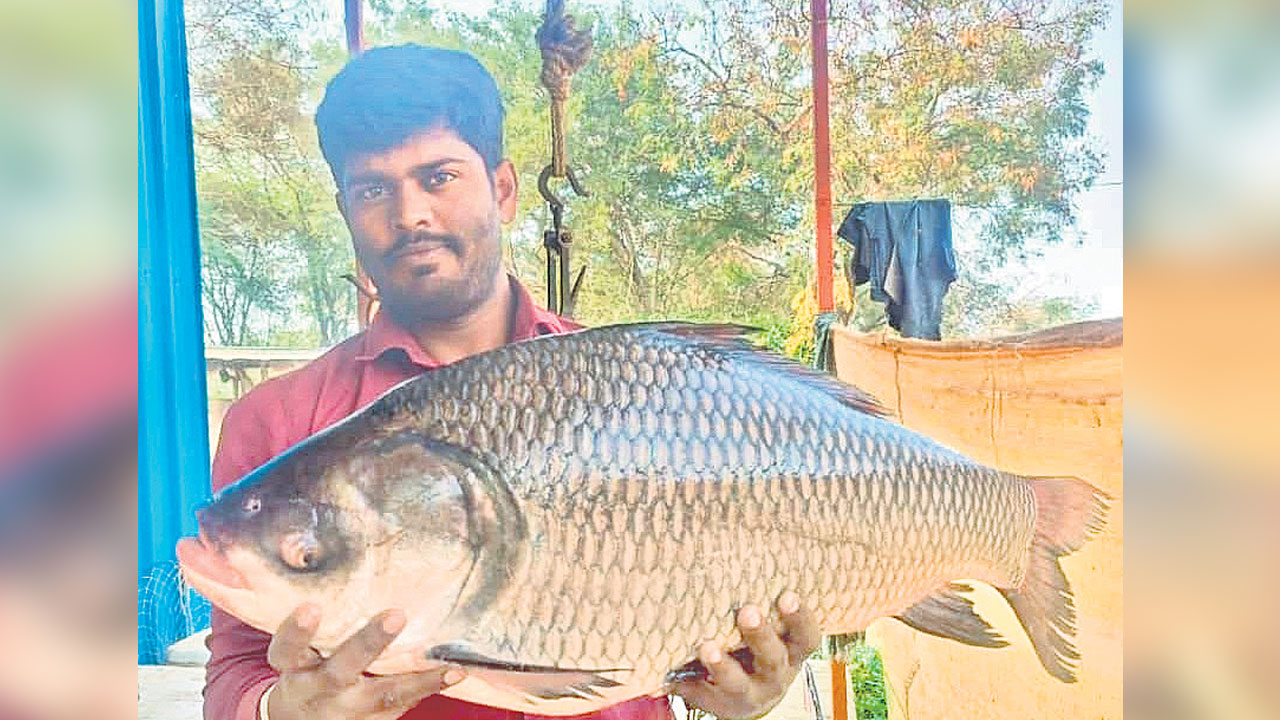 వామ్మో భారీ చేప