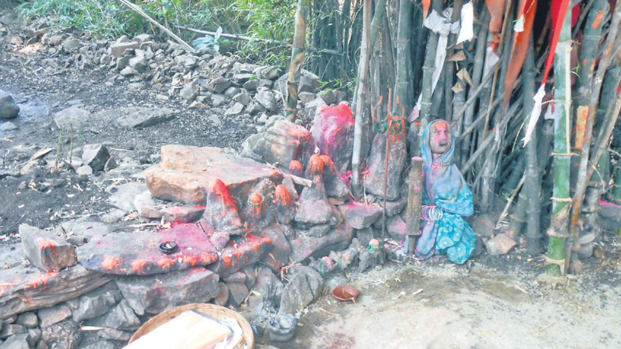 వేడుకలకు వెళ్దామా..