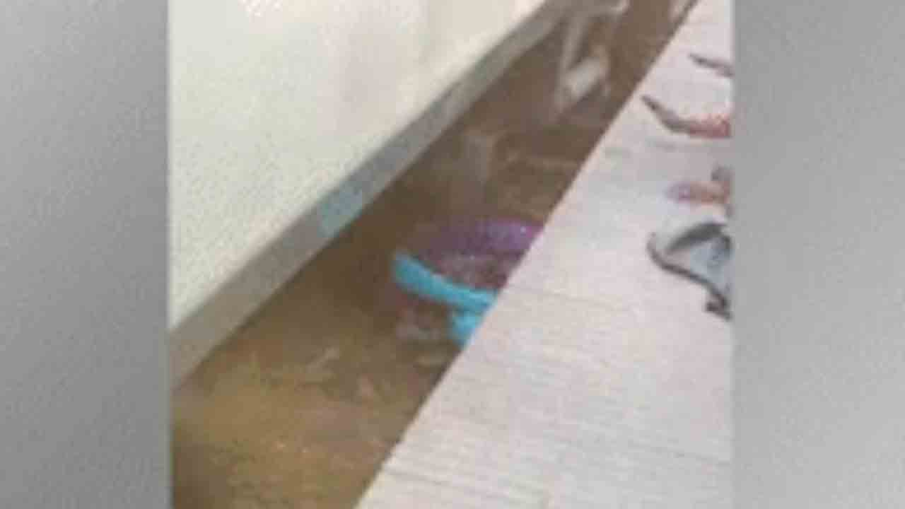 Watch: రైలు పట్టాల వద్ద పడిన మహిళ, ఆమె పిల్లలు..  తర్వాత ఏం జరిగిందంటే?