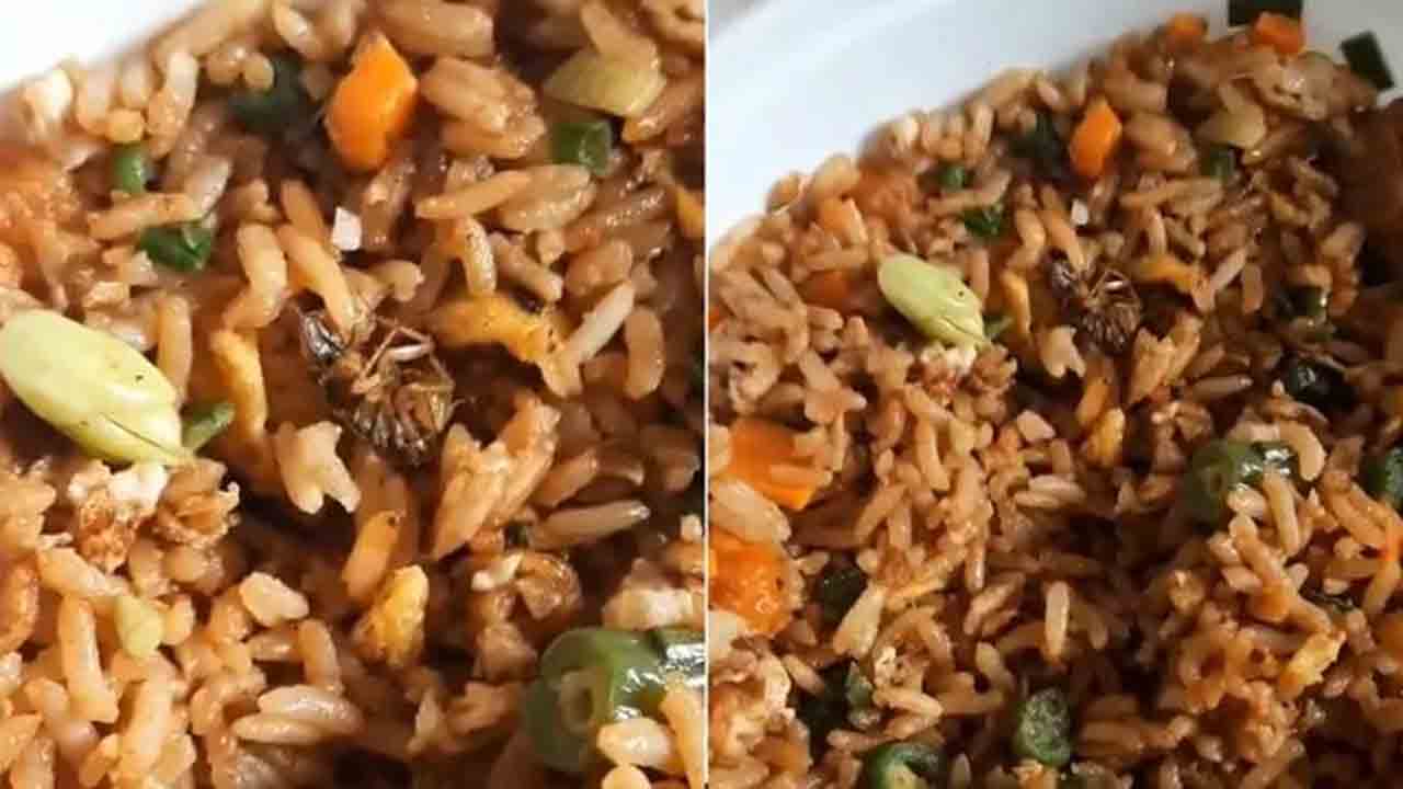 Cockroach In Meal | జొమాటోలో ఫ్రైడ్ రైస్ ఆర్డర్.. పార్సిల్ తెరిచి షాకైన మహిళా కస్టమర్