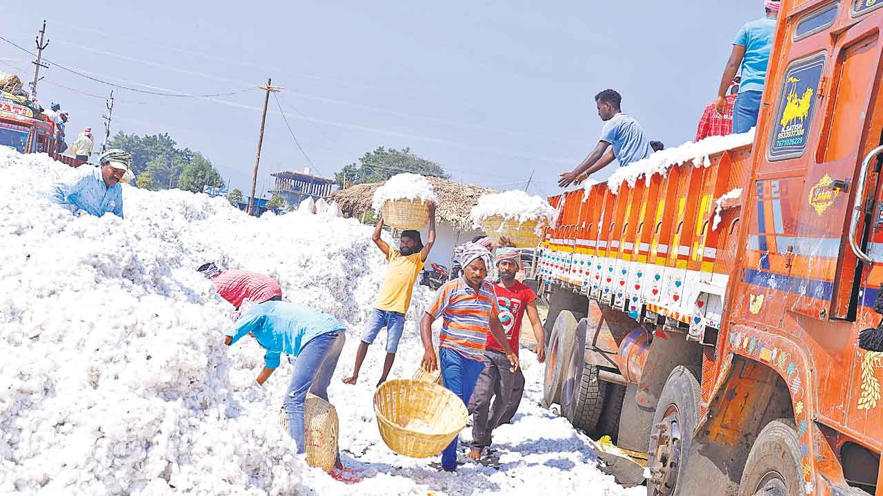 పత్తి రైతుకు పుట్టెడు కష్టాలు