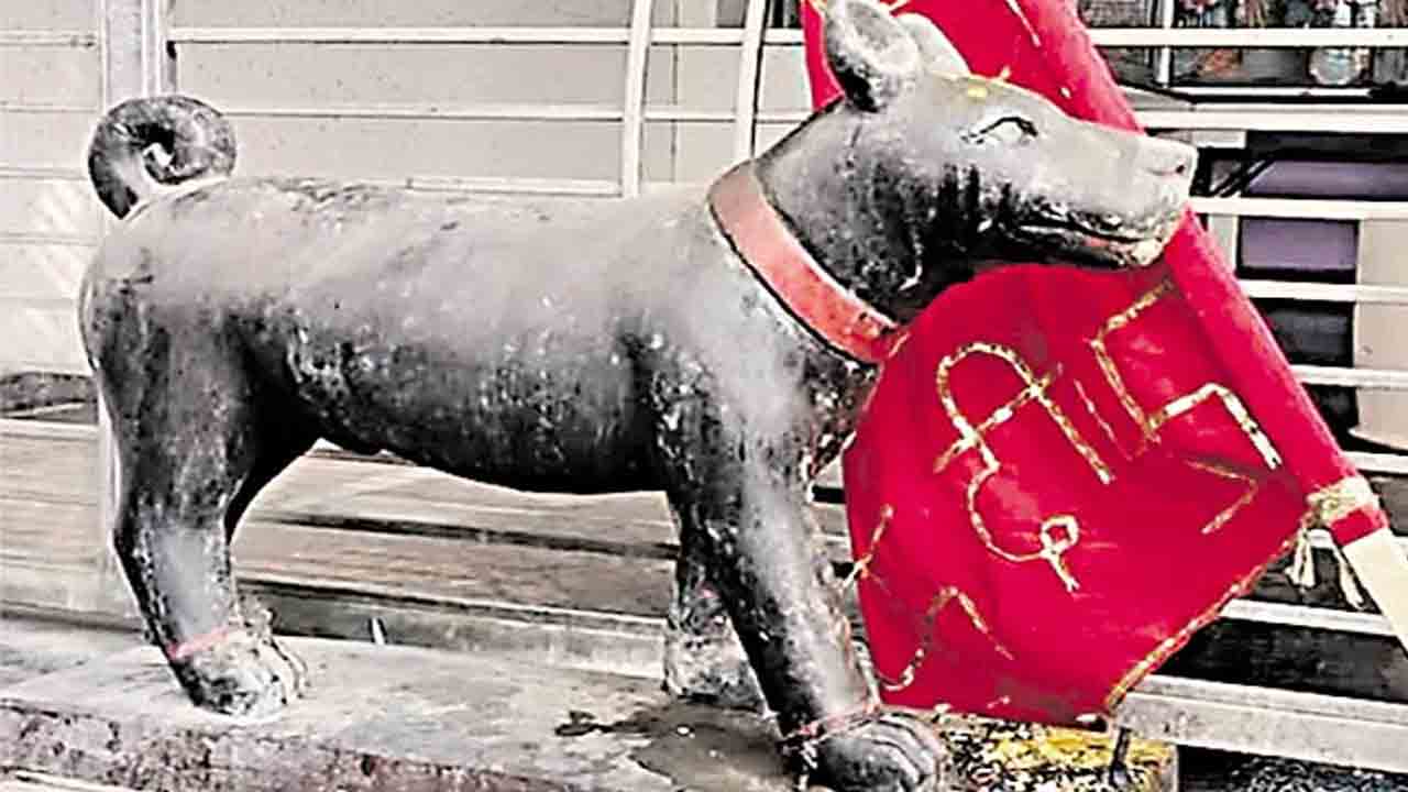 Dog worship | అక్కడ వందేళ్లుగా కుక్కను పూజిస్తున్నారు.. ఎందుకంటే..!