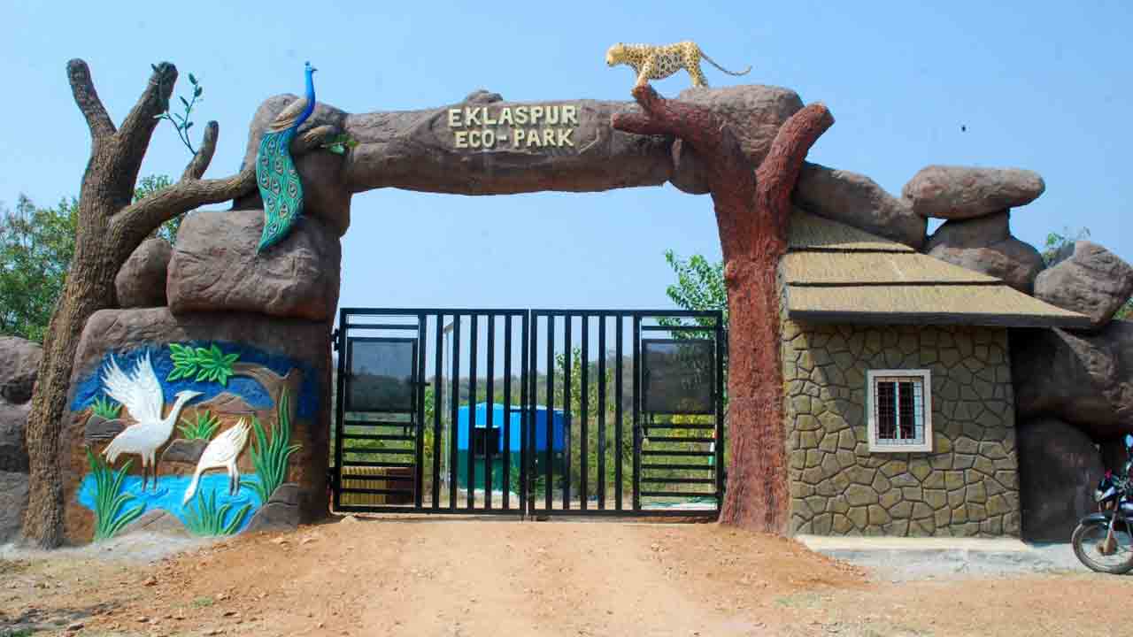 అడవి ఒడిలో ఆహ్లాదం