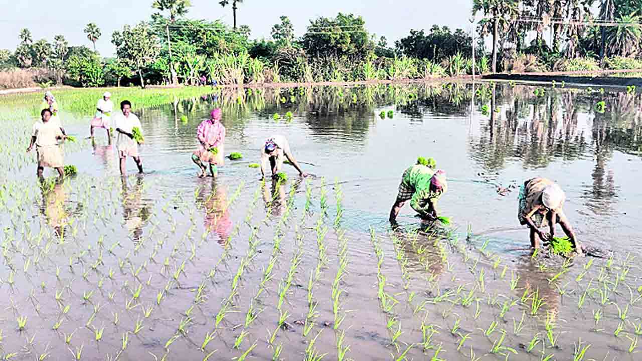 వలస కూలీ ఆగయా
