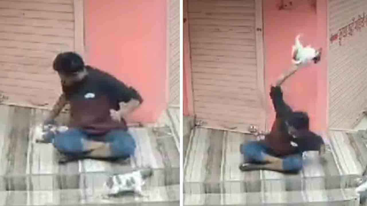 Watch: కిరాతకంగా ప్రవర్తించిన వ్యక్తి.. కుక్క పిల్లను నేలకేసి కొట్టి కాలితో తొక్కి చంపాడు