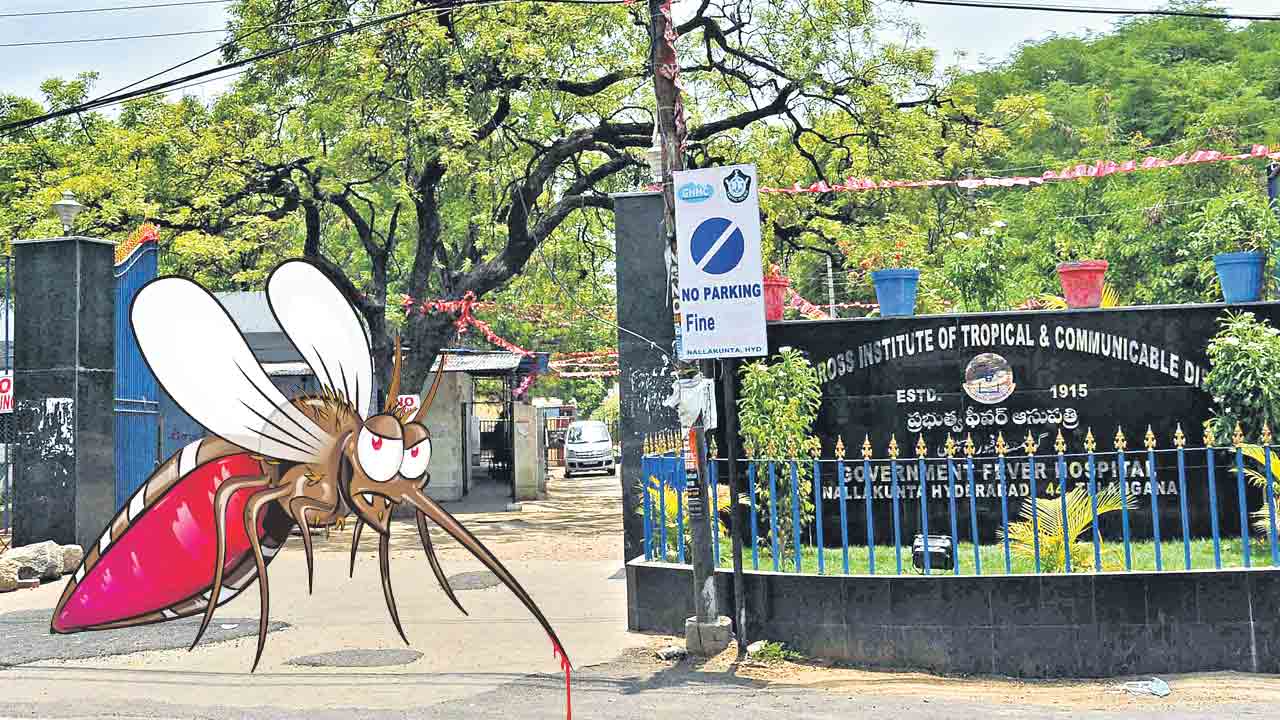 డెంగీతో జాగ్రత్త